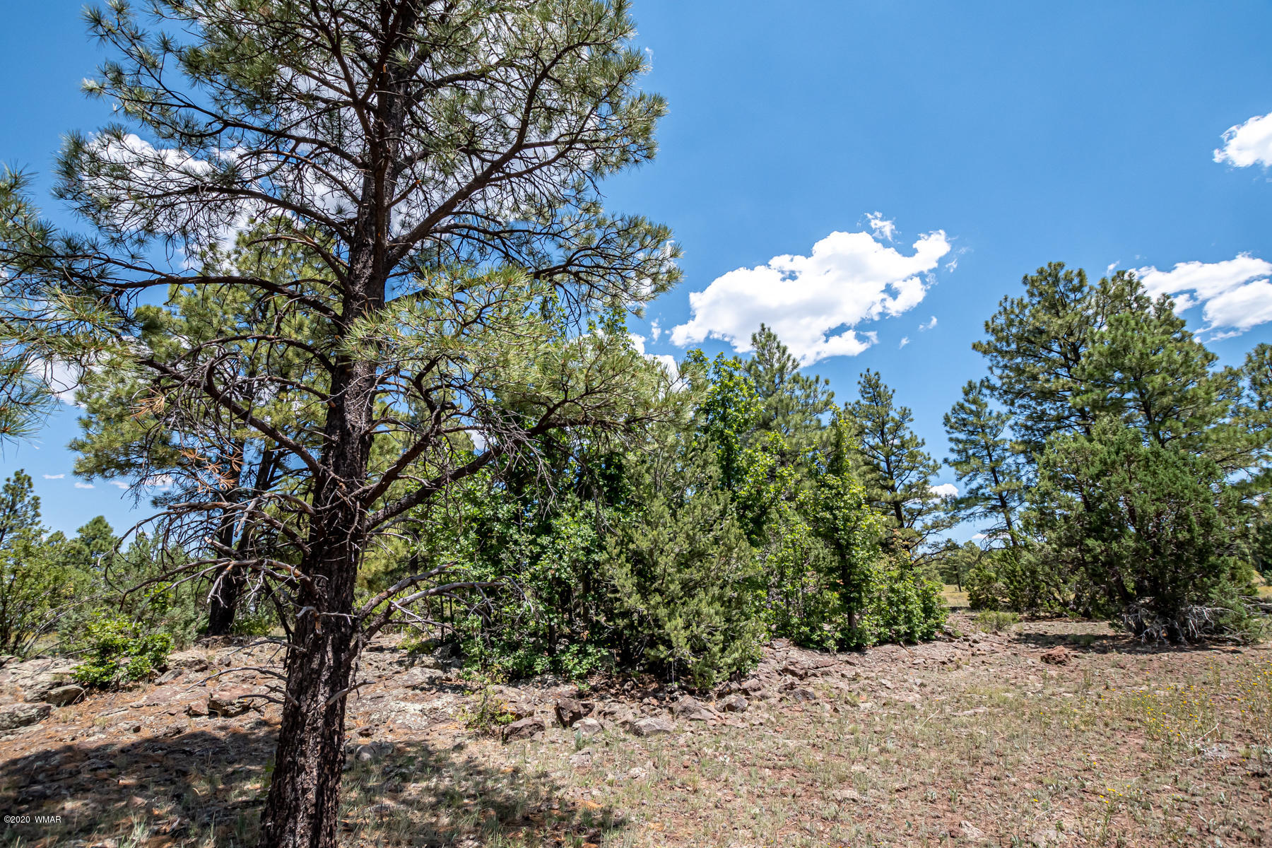 Tbd Tbd Lone Horseman Road Pinetop, AZ 85935 - Photo 14 of 15