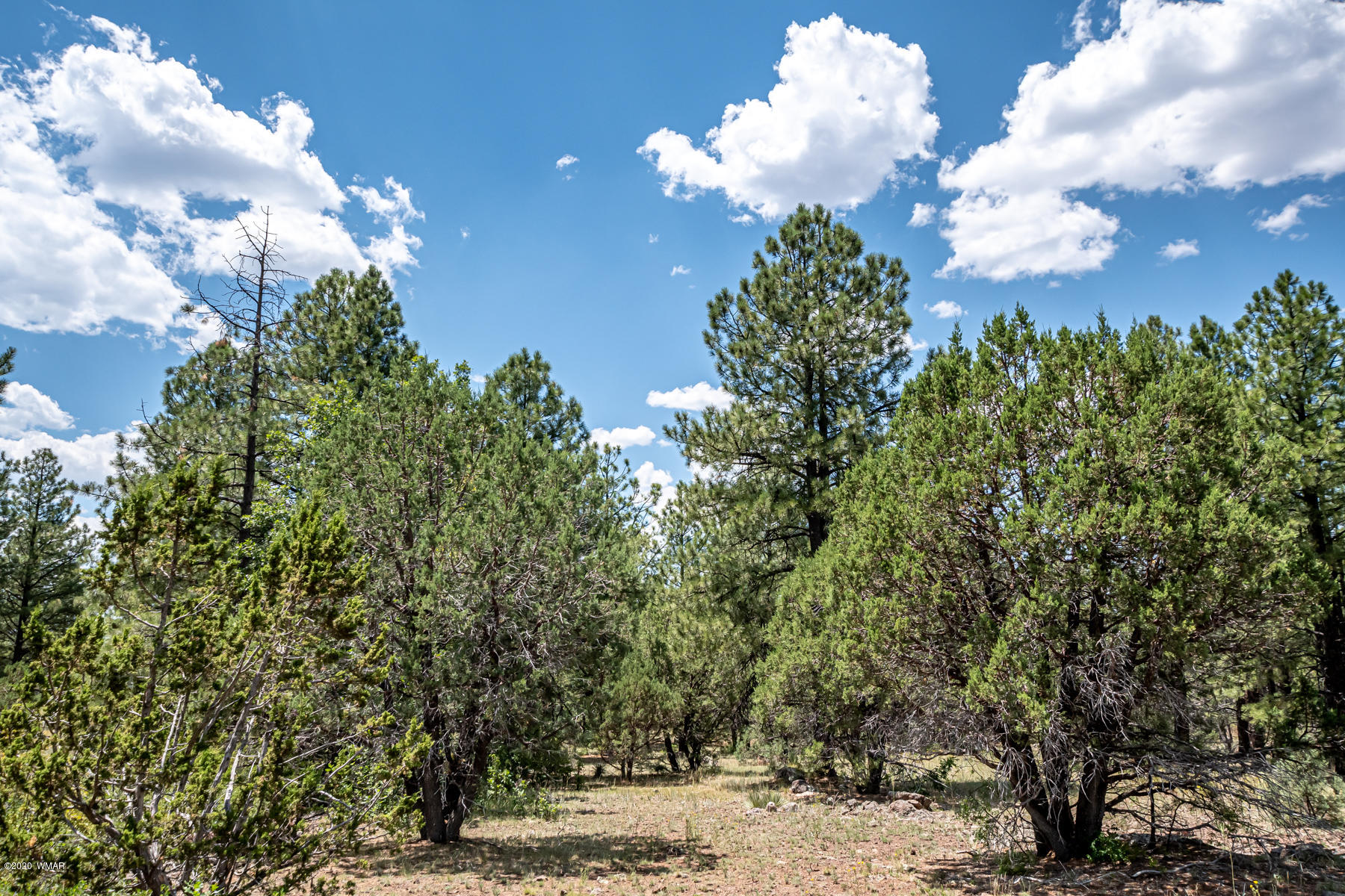 Tbd Tbd Lone Horseman Road Pinetop, AZ 85935 - Photo 15 of 15