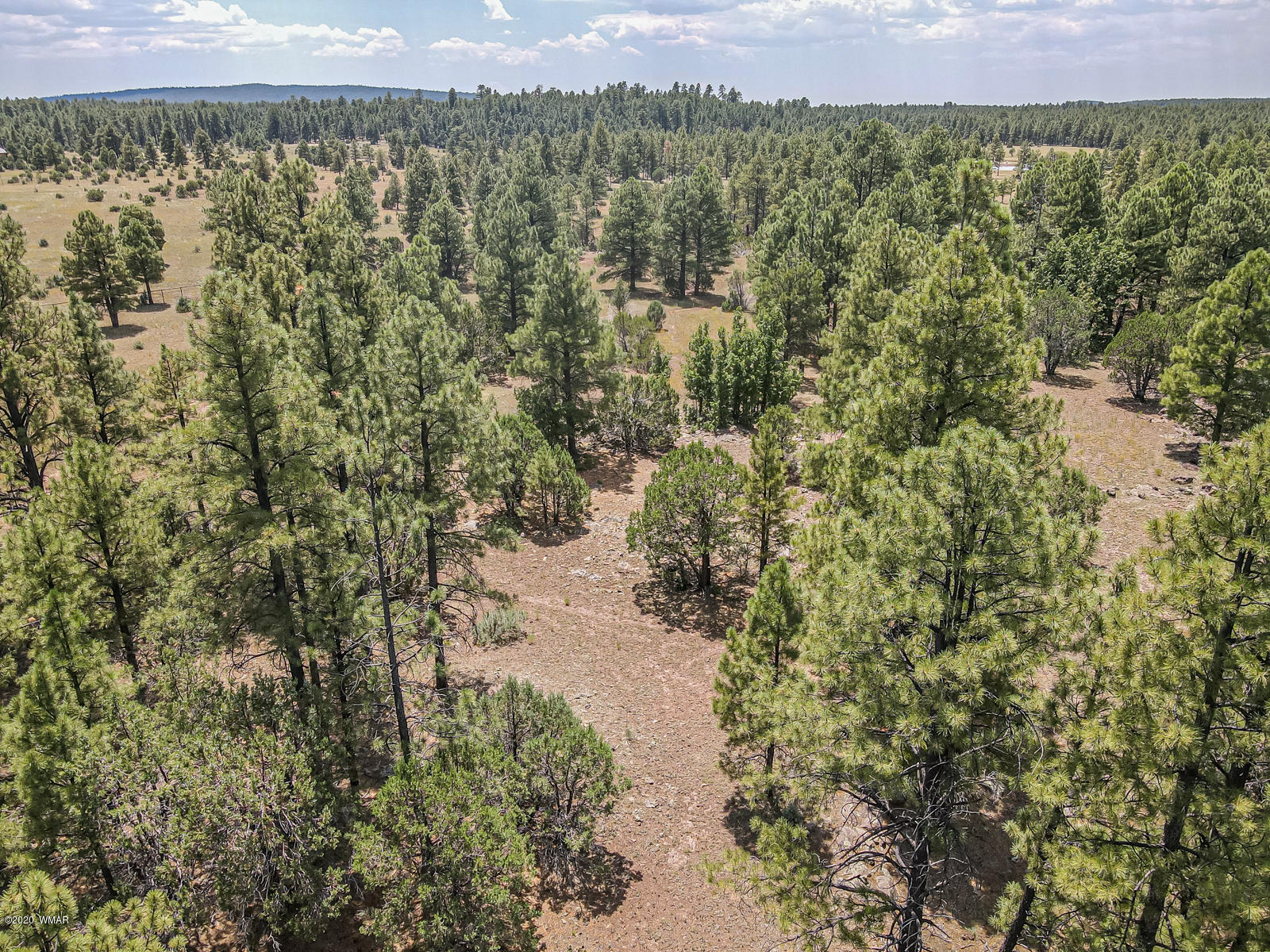 Tbd Tbd Lone Horseman Road Pinetop, AZ 85935 - Photo 3 of 15