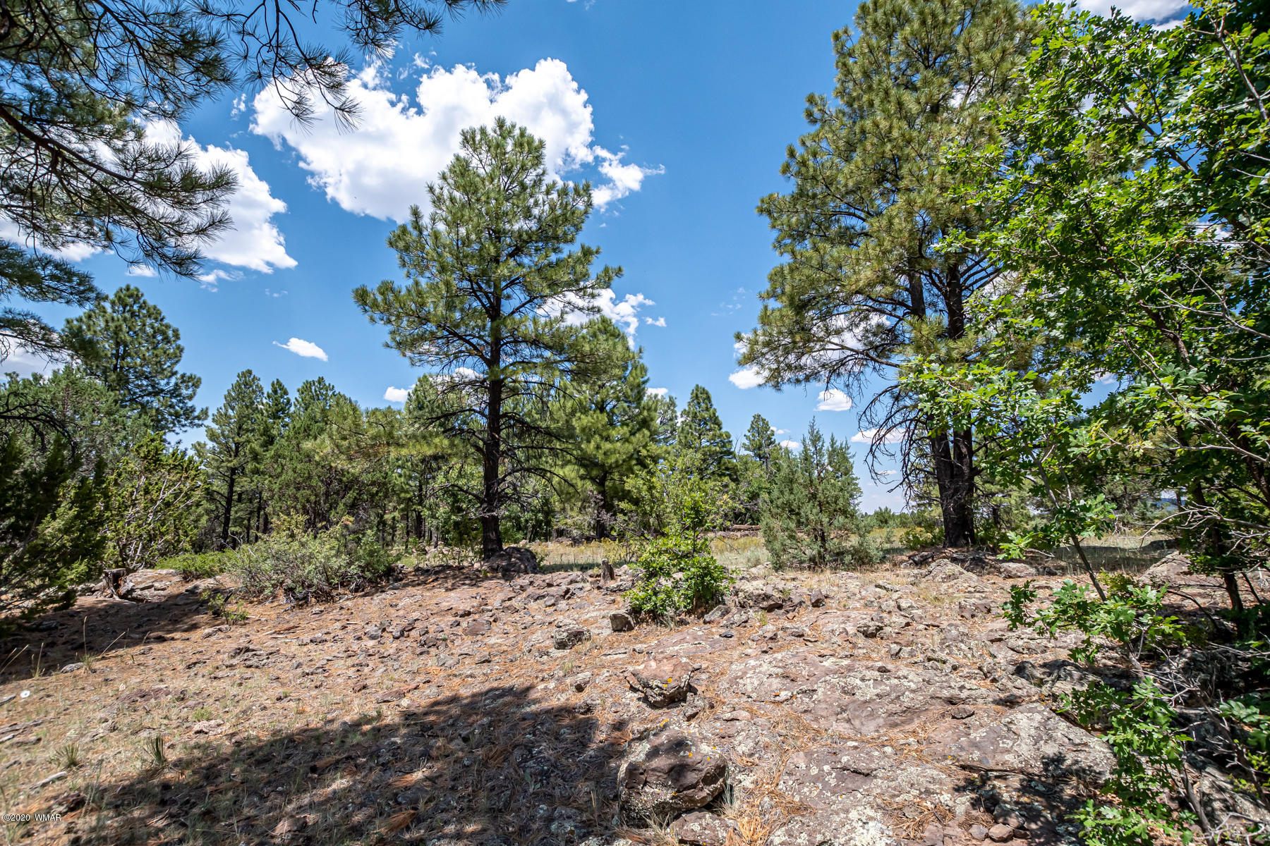 Tbd Tbd Lone Horseman Road Pinetop, AZ 85935 - Photo 4 of 15