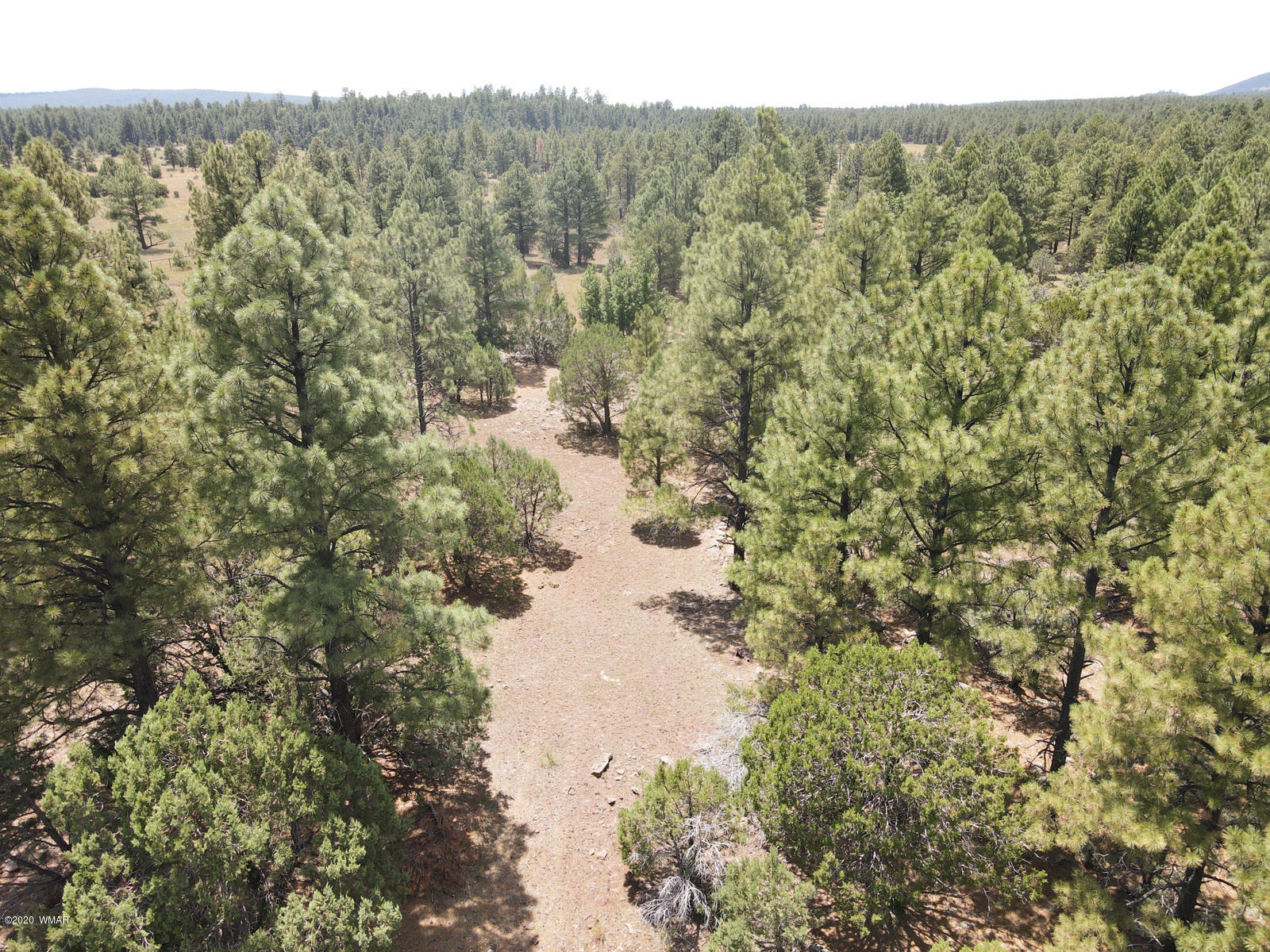 Tbd Tbd Lone Horseman Road Pinetop, AZ 85935 - Photo 5 of 15