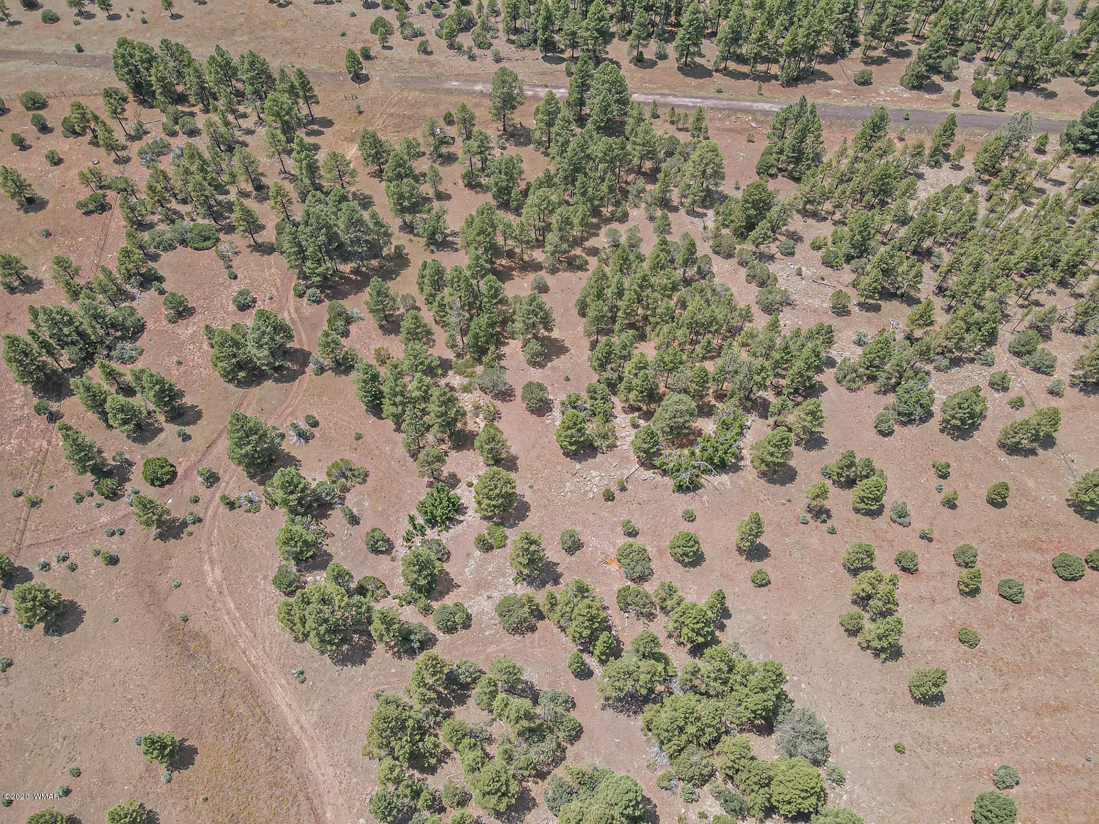 Tbd Tbd Lone Horseman Road Pinetop, AZ 85935 - Photo 6 of 15