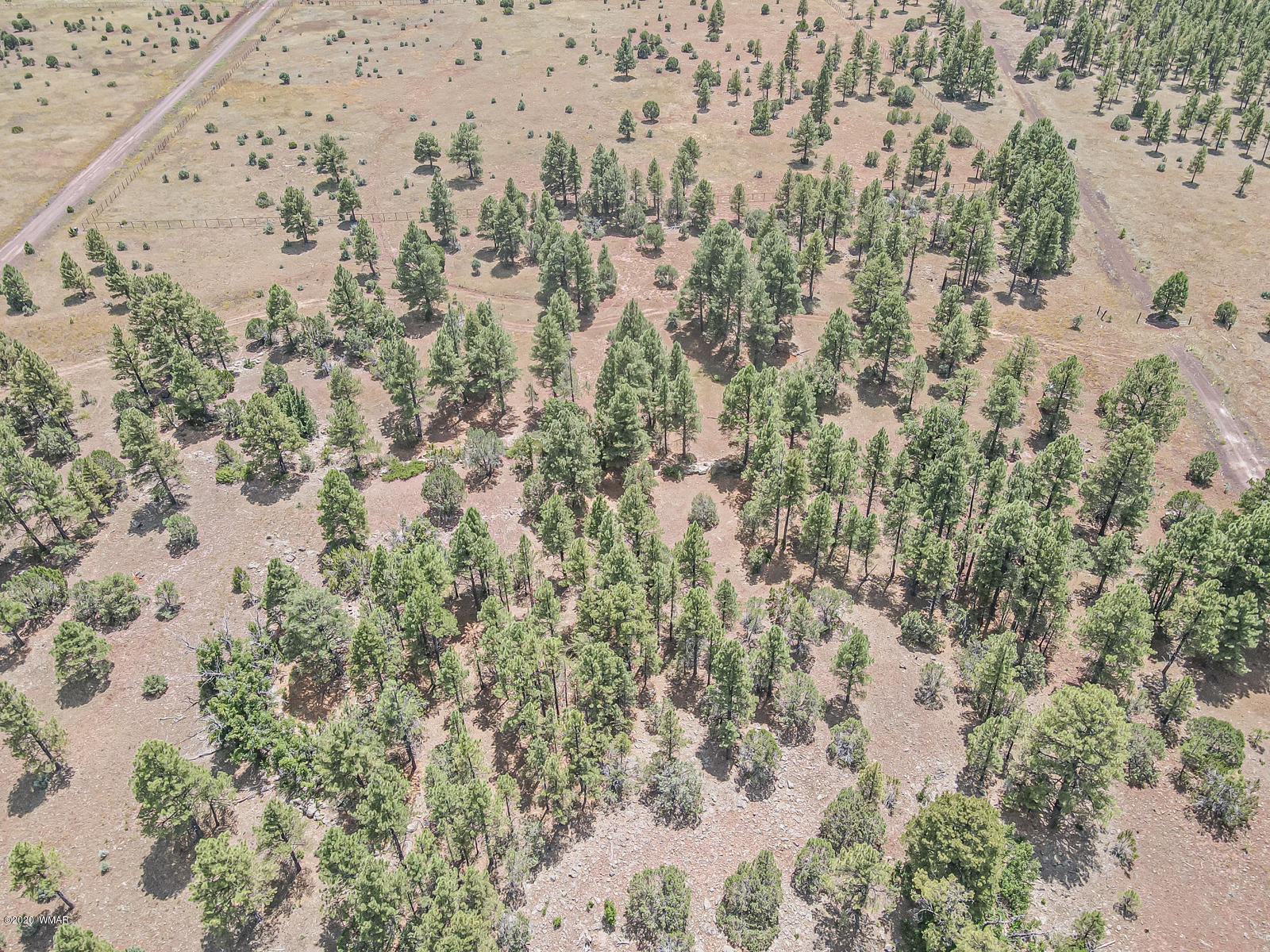Tbd Tbd Lone Horseman Road Pinetop, AZ 85935 - Photo 9 of 15