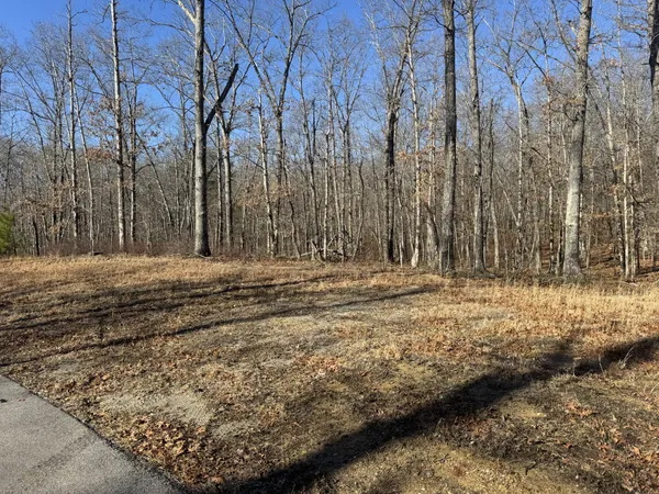 a view of dirt yard with large trees
