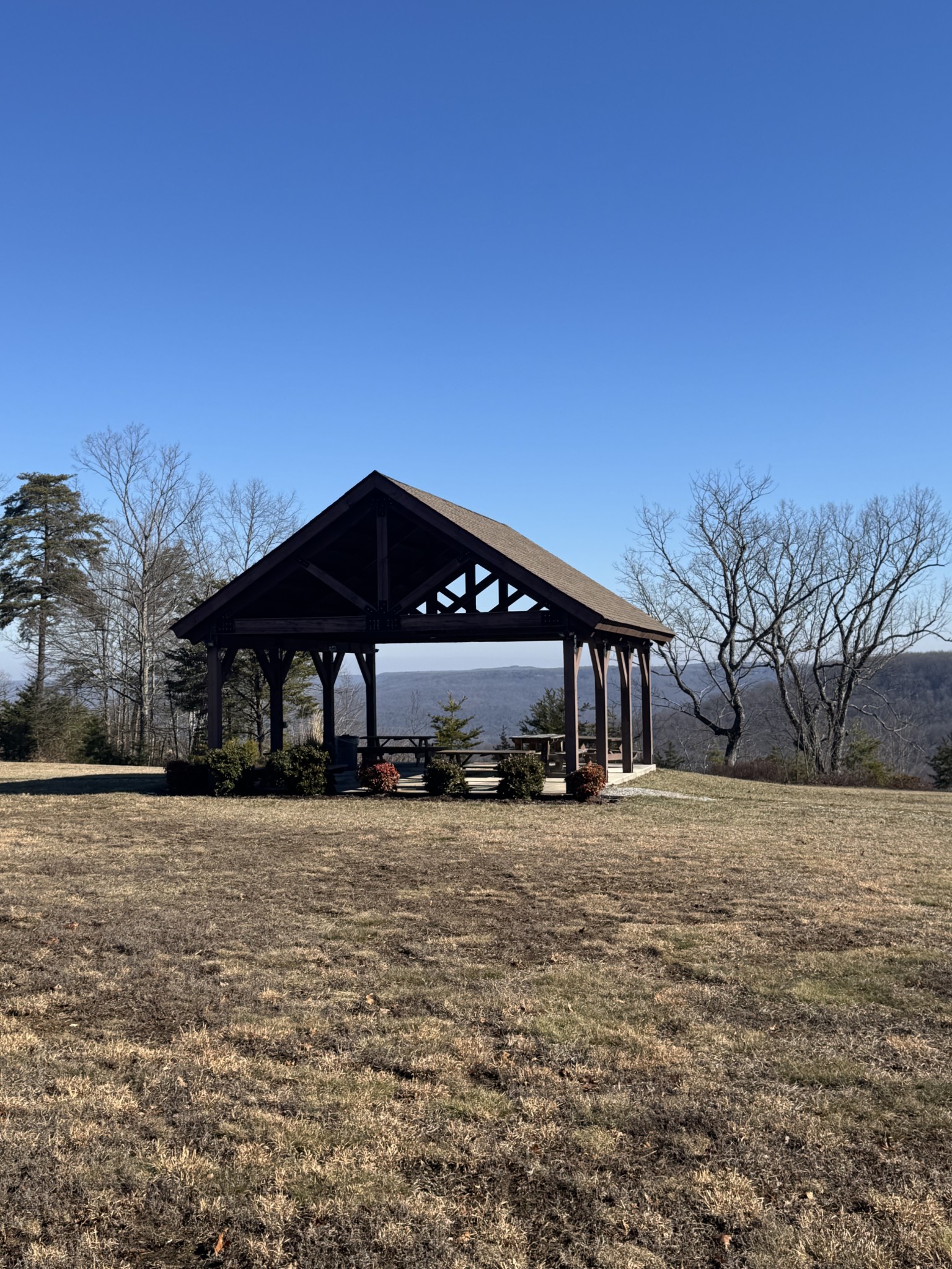 0 Lake Louisa Loop Monteagle, TN 37356 - Photo 4 of 15 a big room with large trees