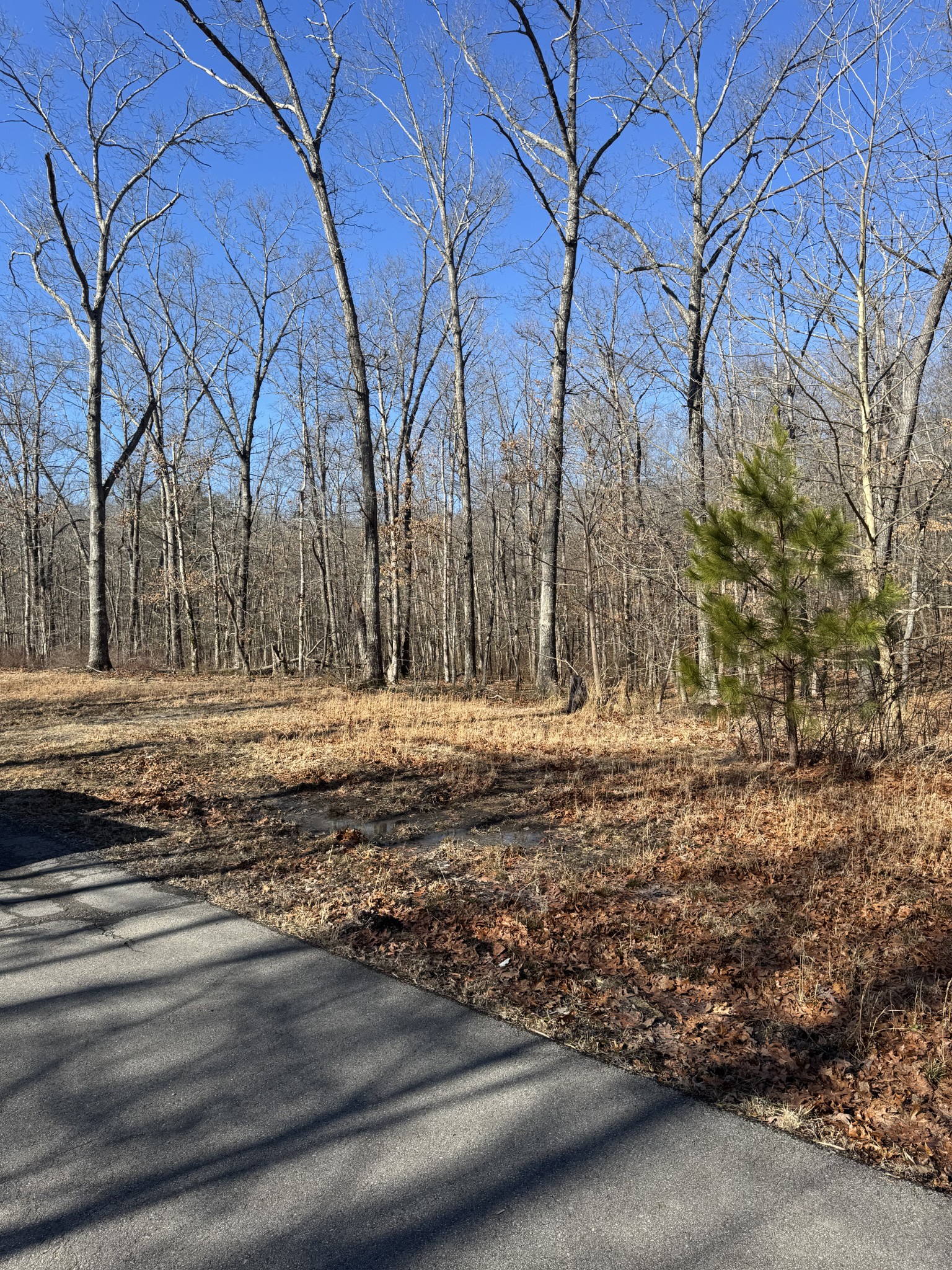 0 Lake Louisa Loop Monteagle, TN 37356 - Photo 8 of 15