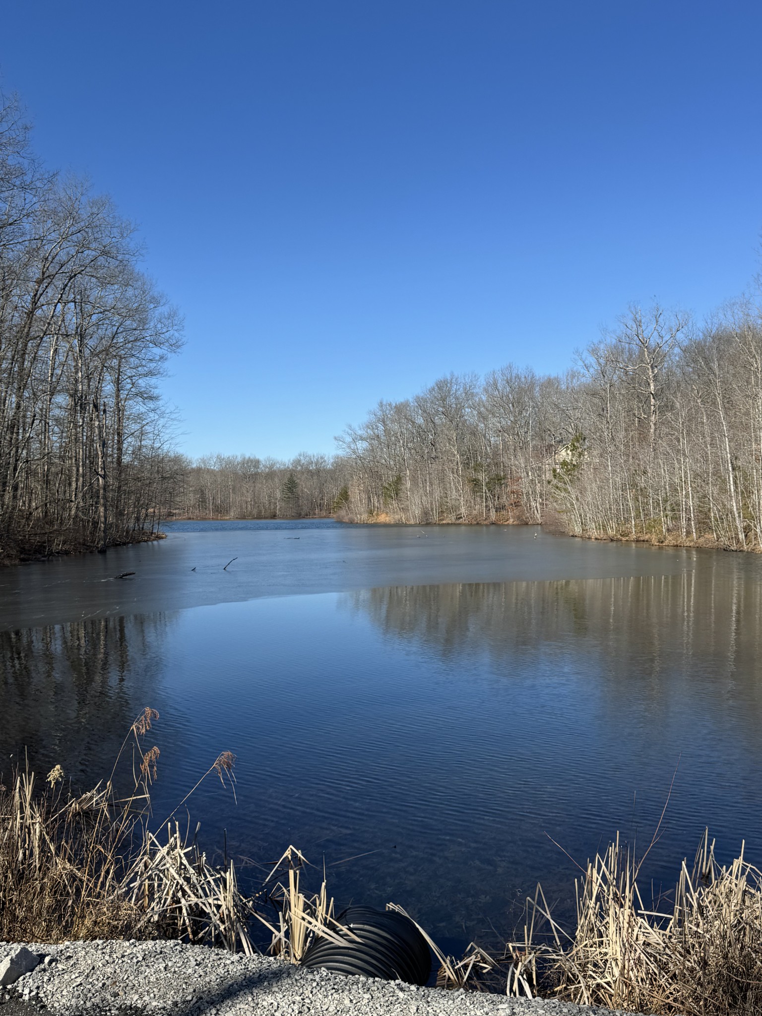 0 Lake Louisa Loop Monteagle, TN 37356 - Photo 9 of 15 a view of a lake with a mountain