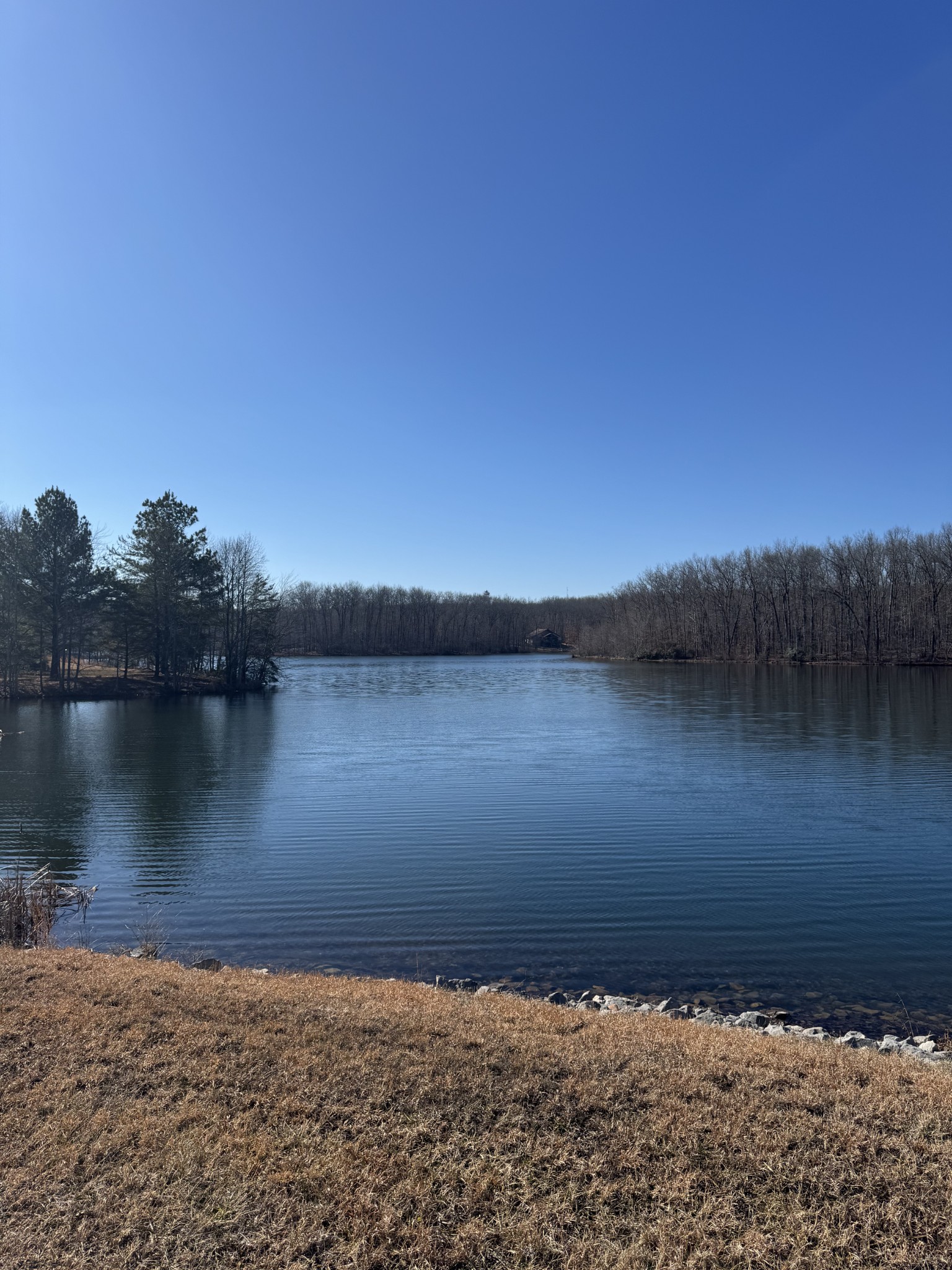 0 Lake Louisa Loop Monteagle, TN 37356 - Photo 10 of 15 a view of lake