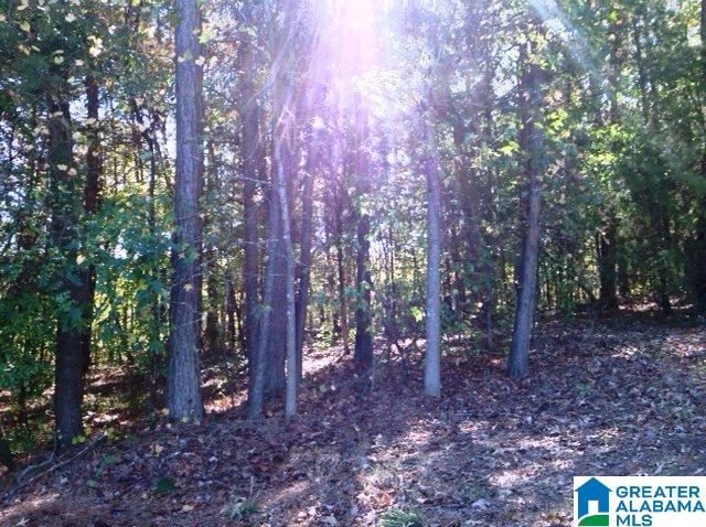 0 Whispering Pines Road, Unit 1 AMD 2 Oxford, AL 36203 - Photo 28 of 30