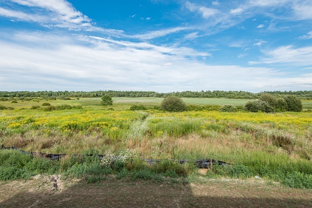 24 Metacomet Road, Unit 24 West Bridgewater, MA 02379 - Photo 4 of 7 a view of lake with green space