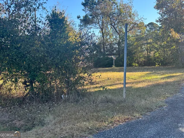 a view of a yard with a tree