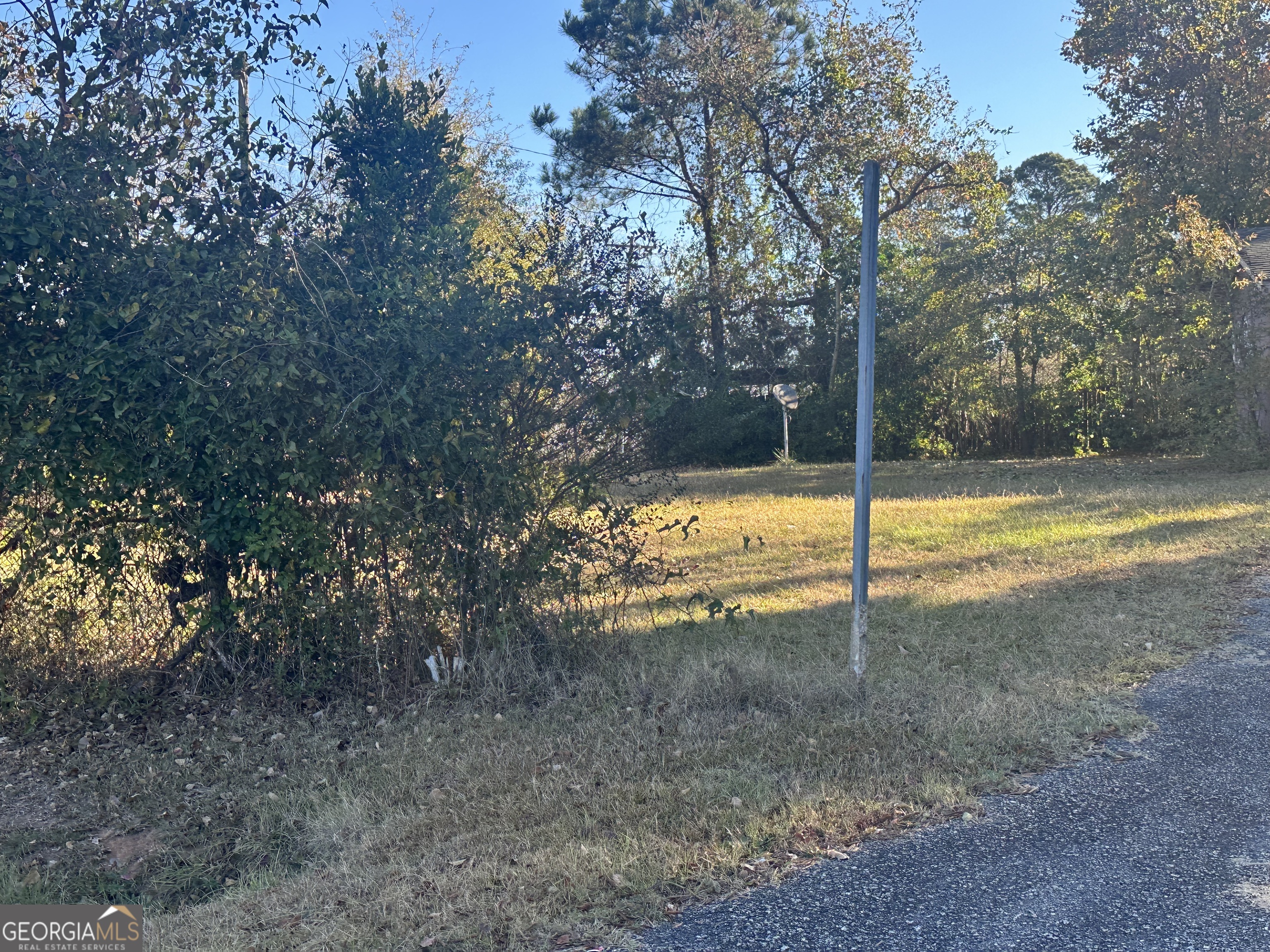 17 Sunset Circle Fort Valley, GA 31030 - Photo 3 of 4 a view of a yard with a tree