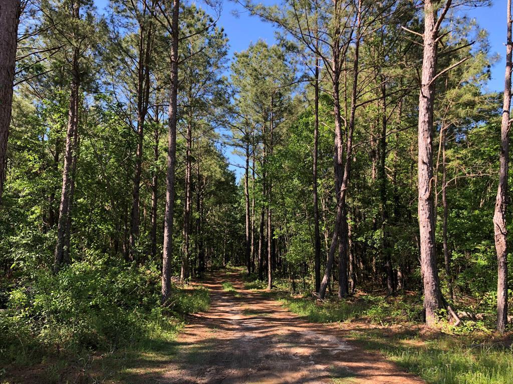 10.5-ac Green Road Dothan, AL 36301 - Photo 1 of 1