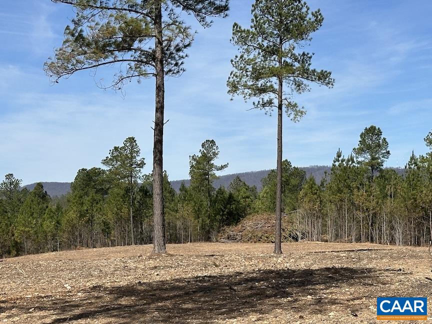 Tbd Tbd Rolling Road Scottsville, VA 24590 - Photo 8 of 19 a view of a house with a yard