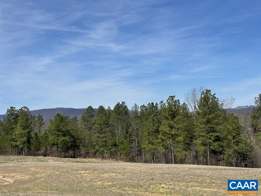 Tbd Tbd Rolling Road Scottsville, VA 24590 - Photo 10 of 19 a view of a city with skyline