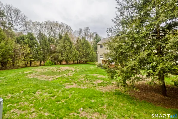 a view of yard with green space