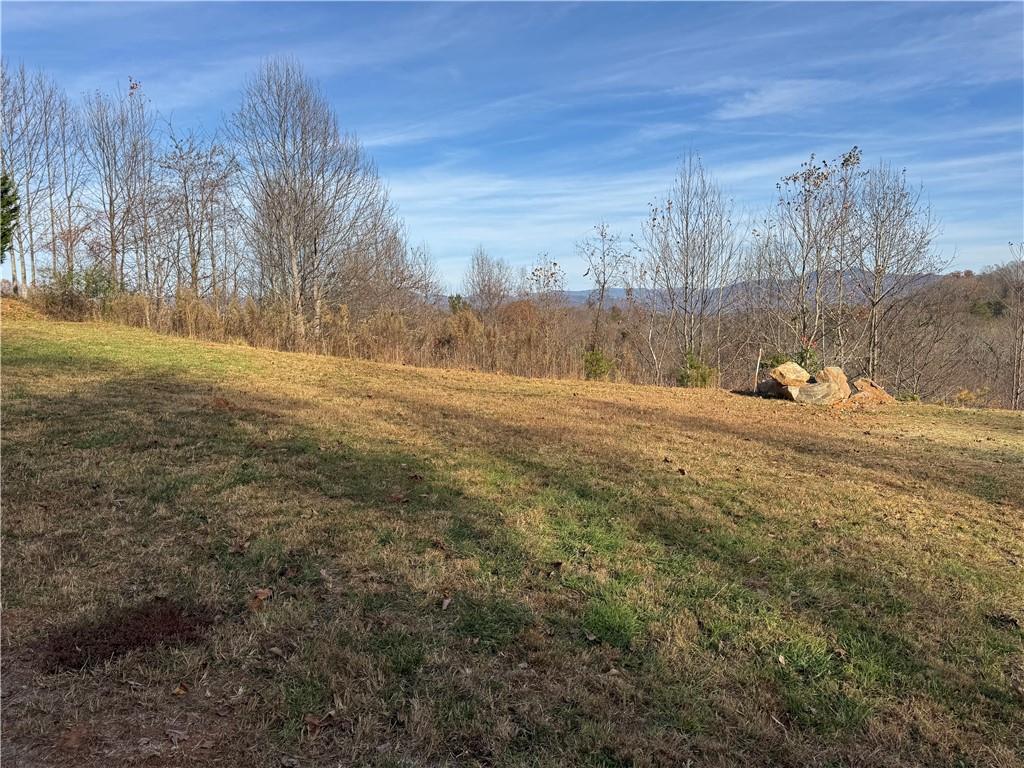 1220 Chatuge Manor Road Young Harris, GA 30582 - Photo 13 of 18 a view of a field with trees in the background