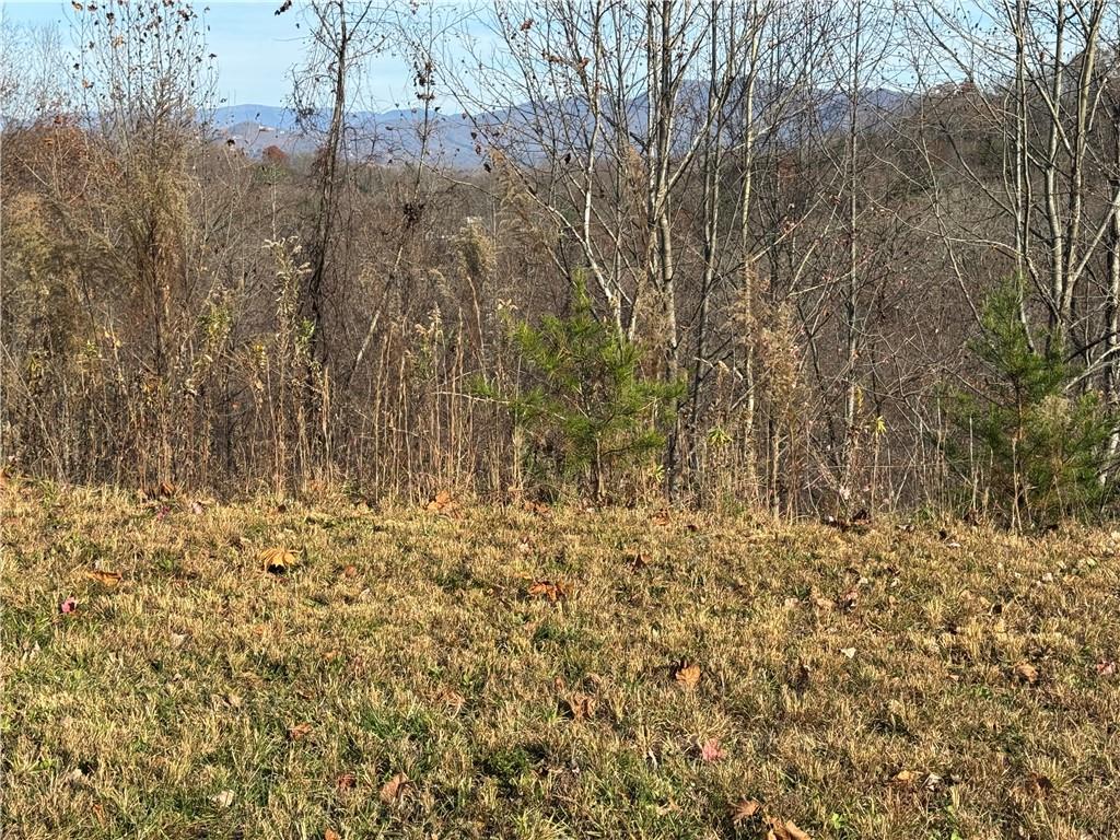 1220 Chatuge Manor Road Young Harris, GA 30582 - Photo 14 of 18 a view of a yard with trees