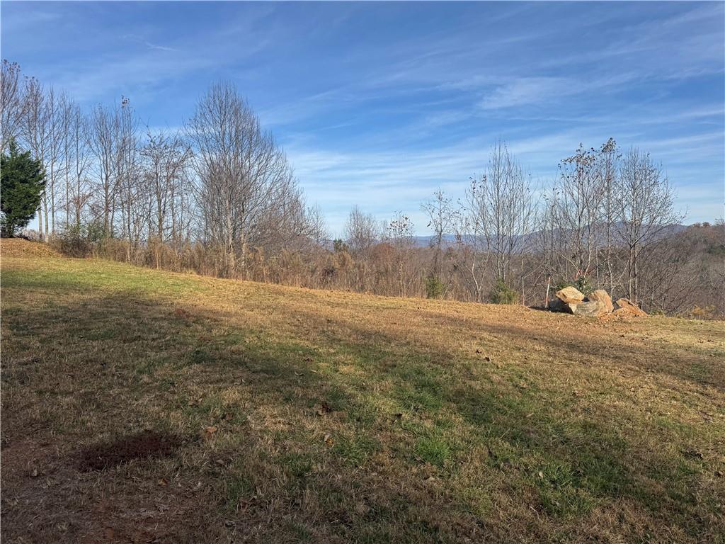 1220 Chatuge Manor Road Young Harris, GA 30582 - Photo 17 of 18