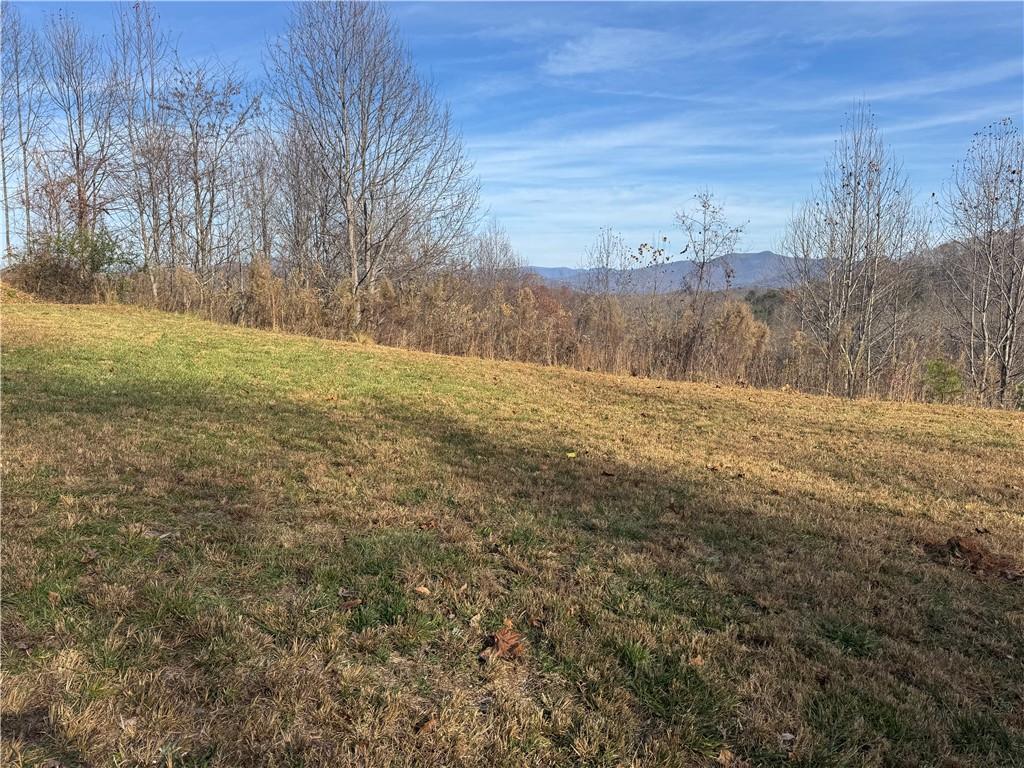 1220 Chatuge Manor Road Young Harris, GA 30582 - Photo 18 of 18 a view of an outdoor space and a yard