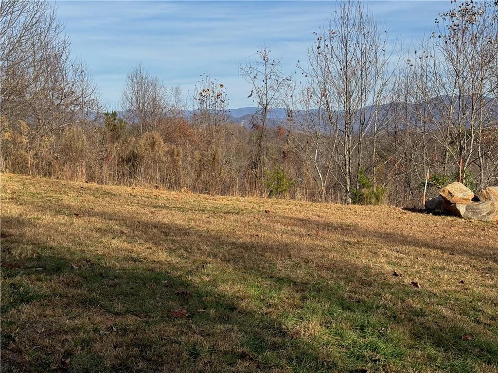 1220 Chatuge Manor Road Young Harris, GA 30582 - Photo 2 of 18