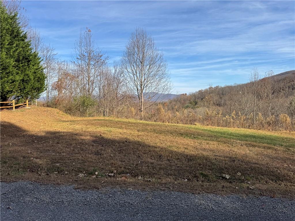 1220 Chatuge Manor Road Young Harris, GA 30582 - Photo 3 of 18 a view of yard with green space