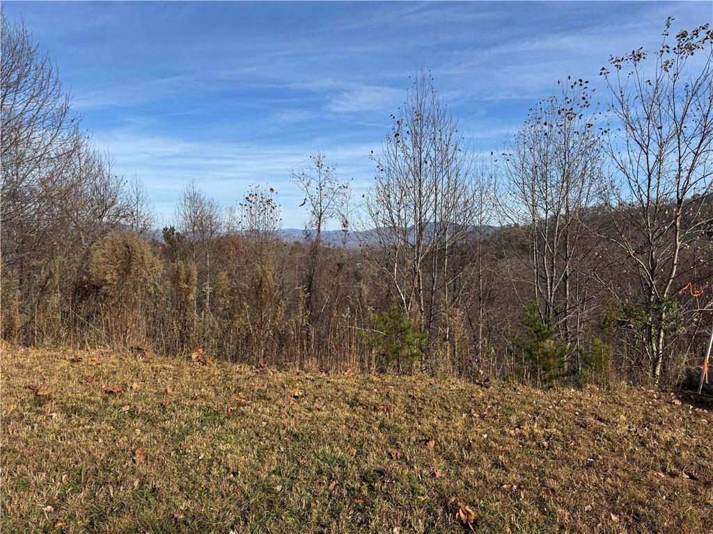 1220 Chatuge Manor Road Young Harris, GA 30582 - Photo 5 of 18 a view of a yard covered with trees