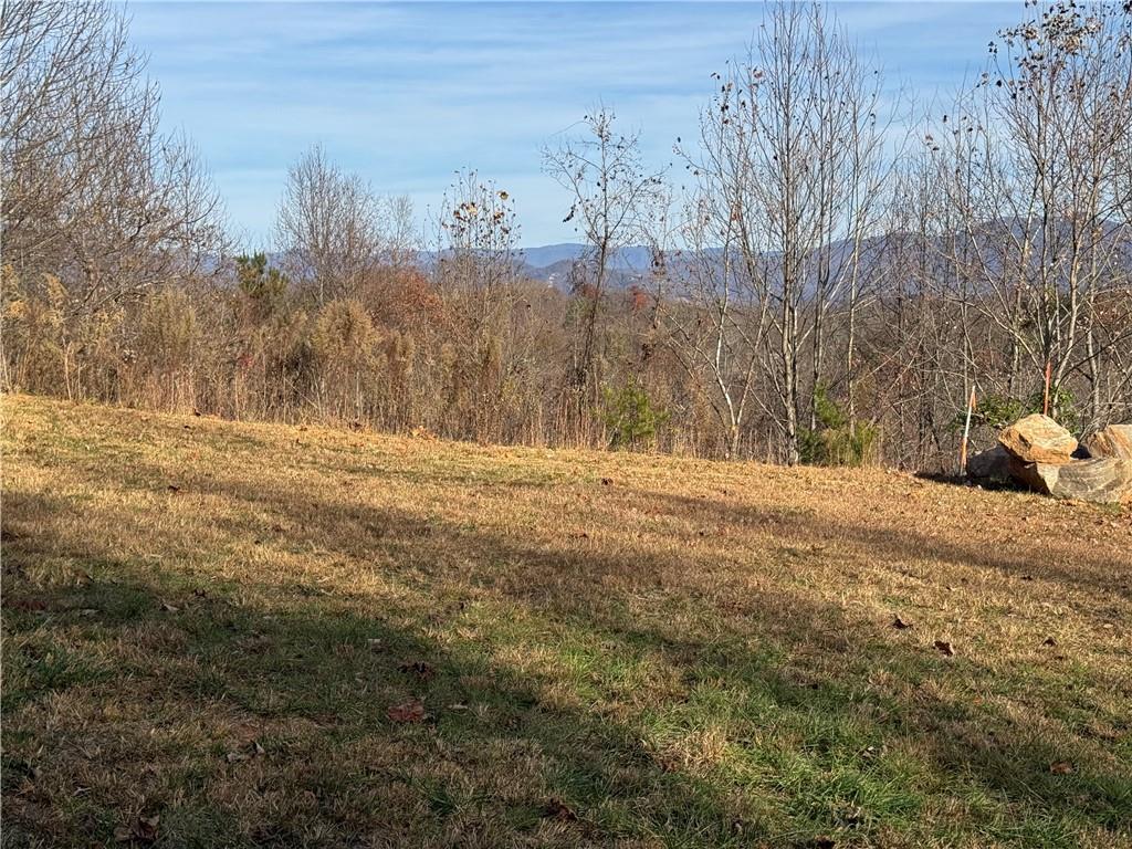 1220 Chatuge Manor Road Young Harris, GA 30582 - Photo 9 of 18