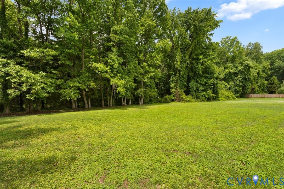 1629 New Market Road Henrico, VA 23231 - Photo 43 of 47