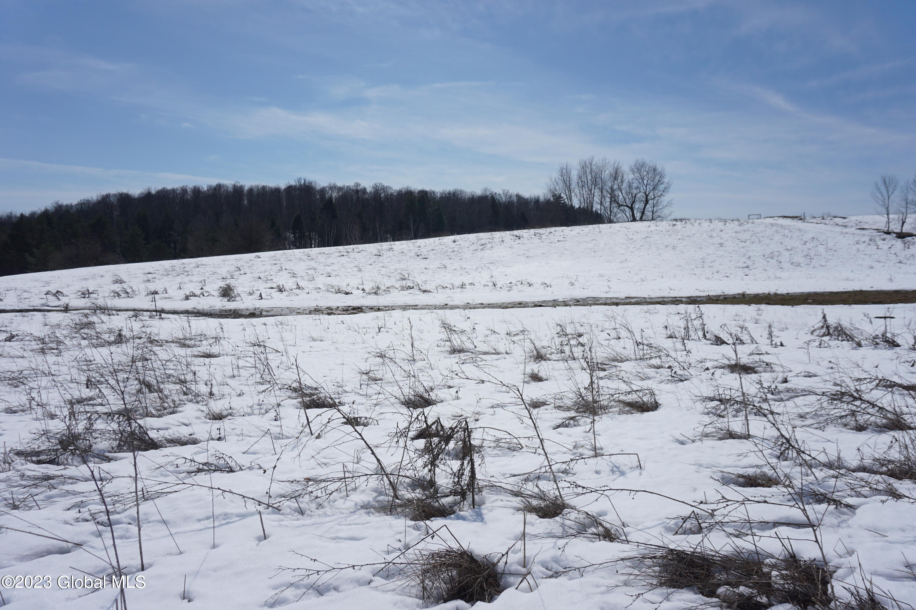 2090 Highway 20 Cobleskill, NY 12043 - Photo 17 of 36 DSC02535