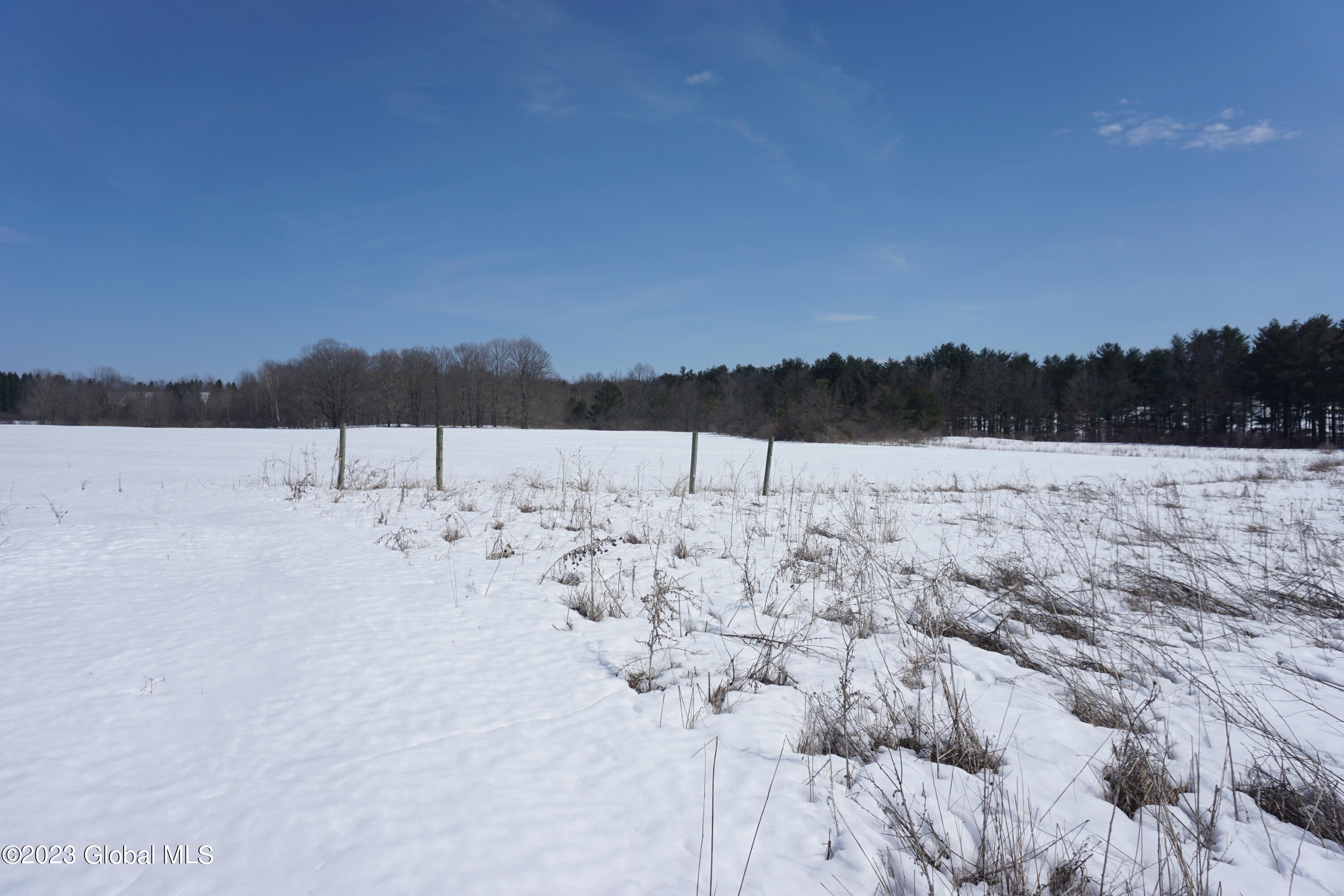 2090 Highway 20 Cobleskill, NY 12043 - Photo 18 of 36 DSC02534