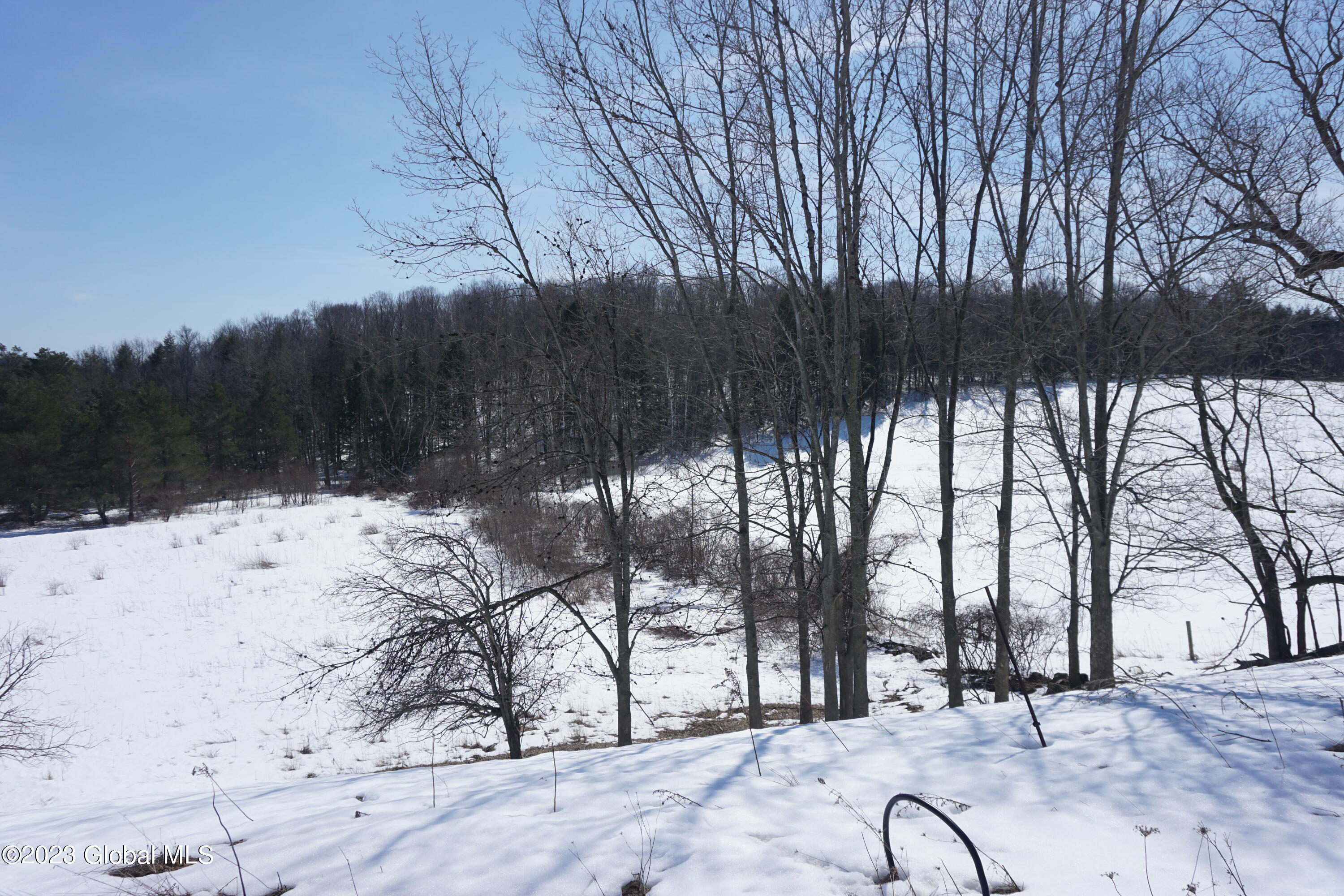 2090 Highway 20 Cobleskill, NY 12043 - Photo 23 of 36 DSC02525