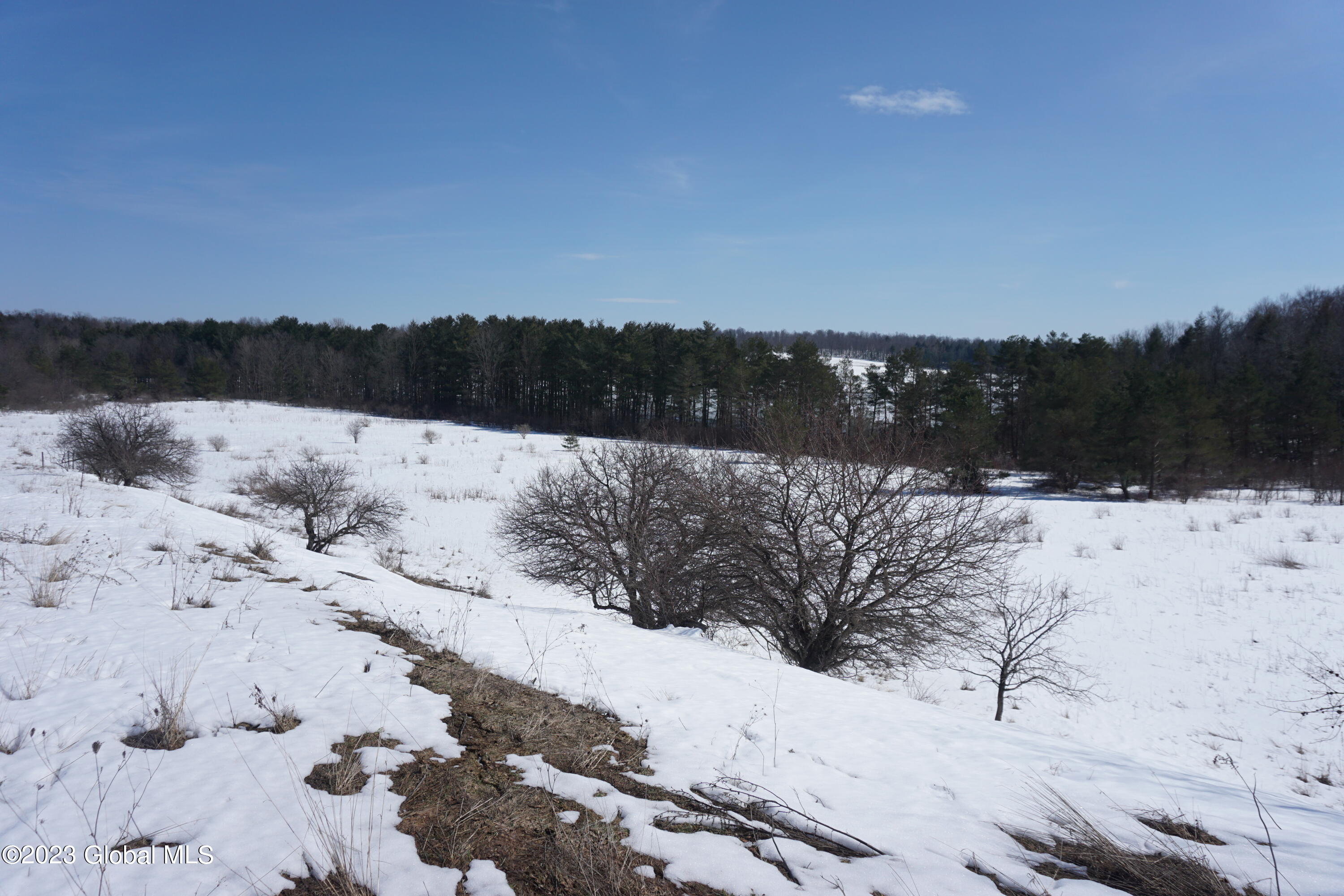 2090 Highway 20 Cobleskill, NY 12043 - Photo 24 of 36 DSC02524