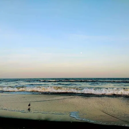 $9,500 | 19 North Douglas Avenue, Unit 1, Margate City, NJ 08402