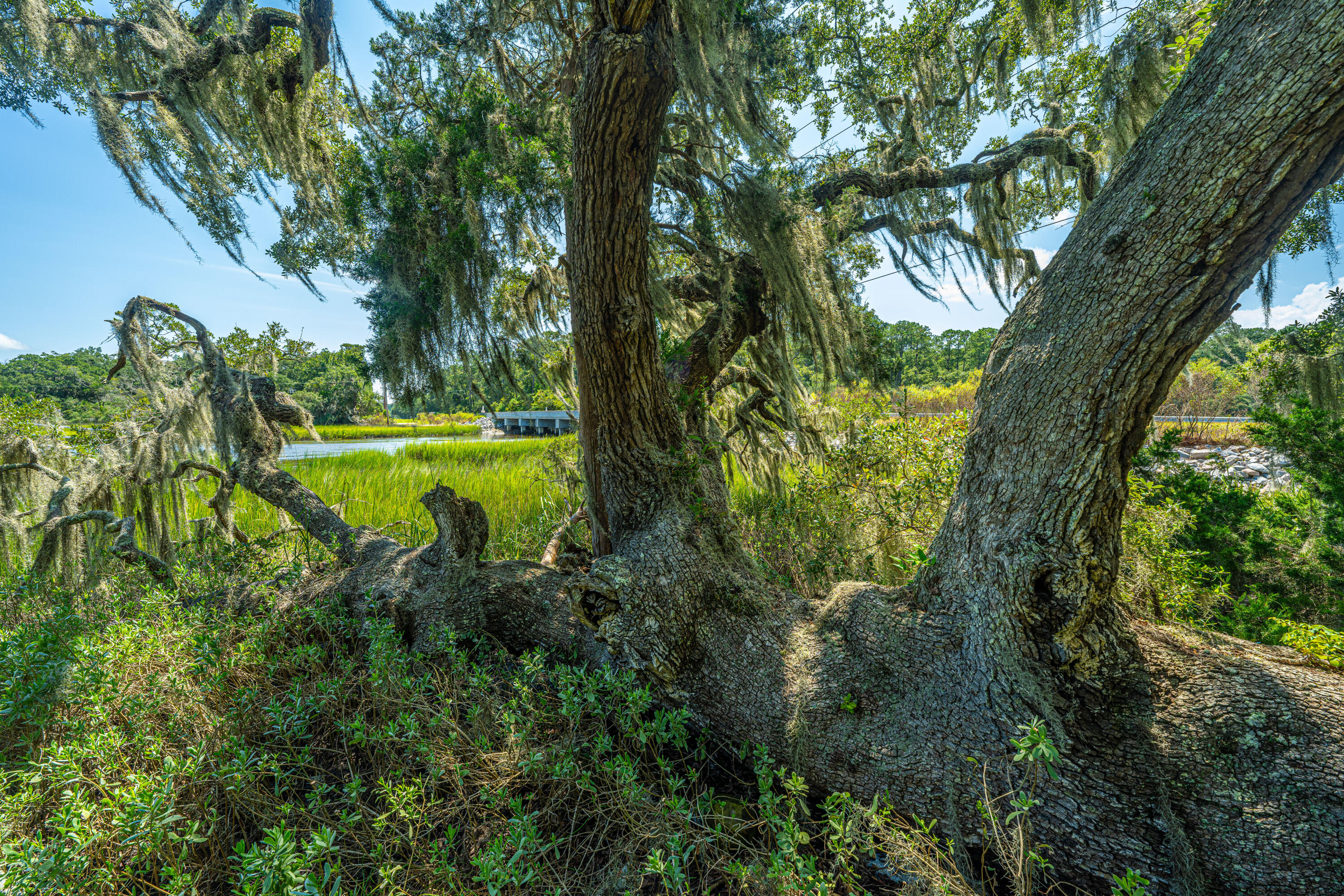 8083 Point Of Pines Road Edisto Island, SC 29438 - Photo 44 of 86 8083PointofPines_Home064