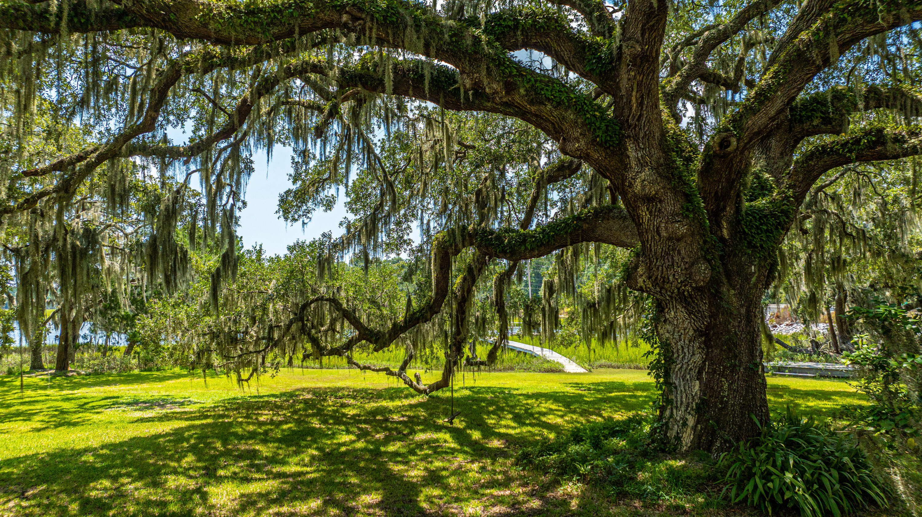 8083 Point Of Pines Road Edisto Island, SC 29438 - Photo 49 of 86 8083PointofPines_Home091