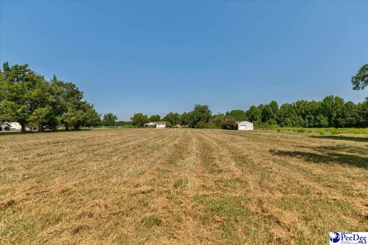 2357 Bethlehem Road Hartsville, SC 29550 - Photo 37 of 44 Gallery Image 37
