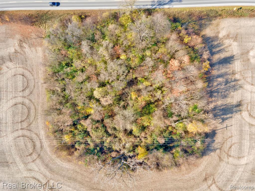 0 Hull Road Highland Park, MI 48203 - Photo 2 of 15