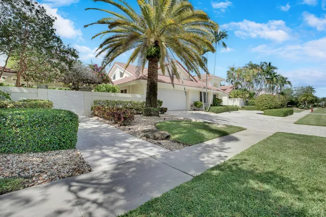 a house with palm tree in front of it