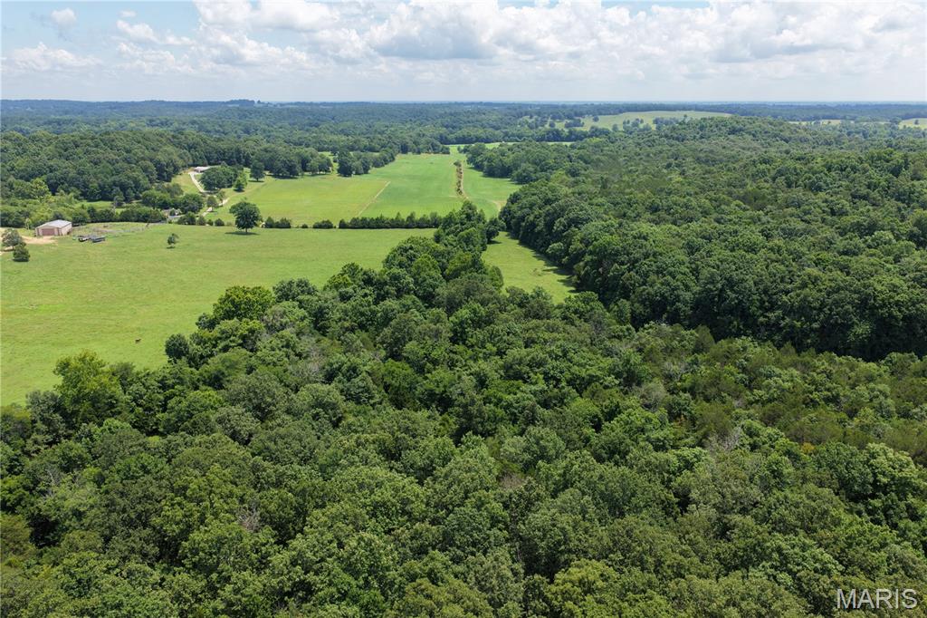Tbd Fairview Road Imboden, AR 72434 - Photo 8 of 24
