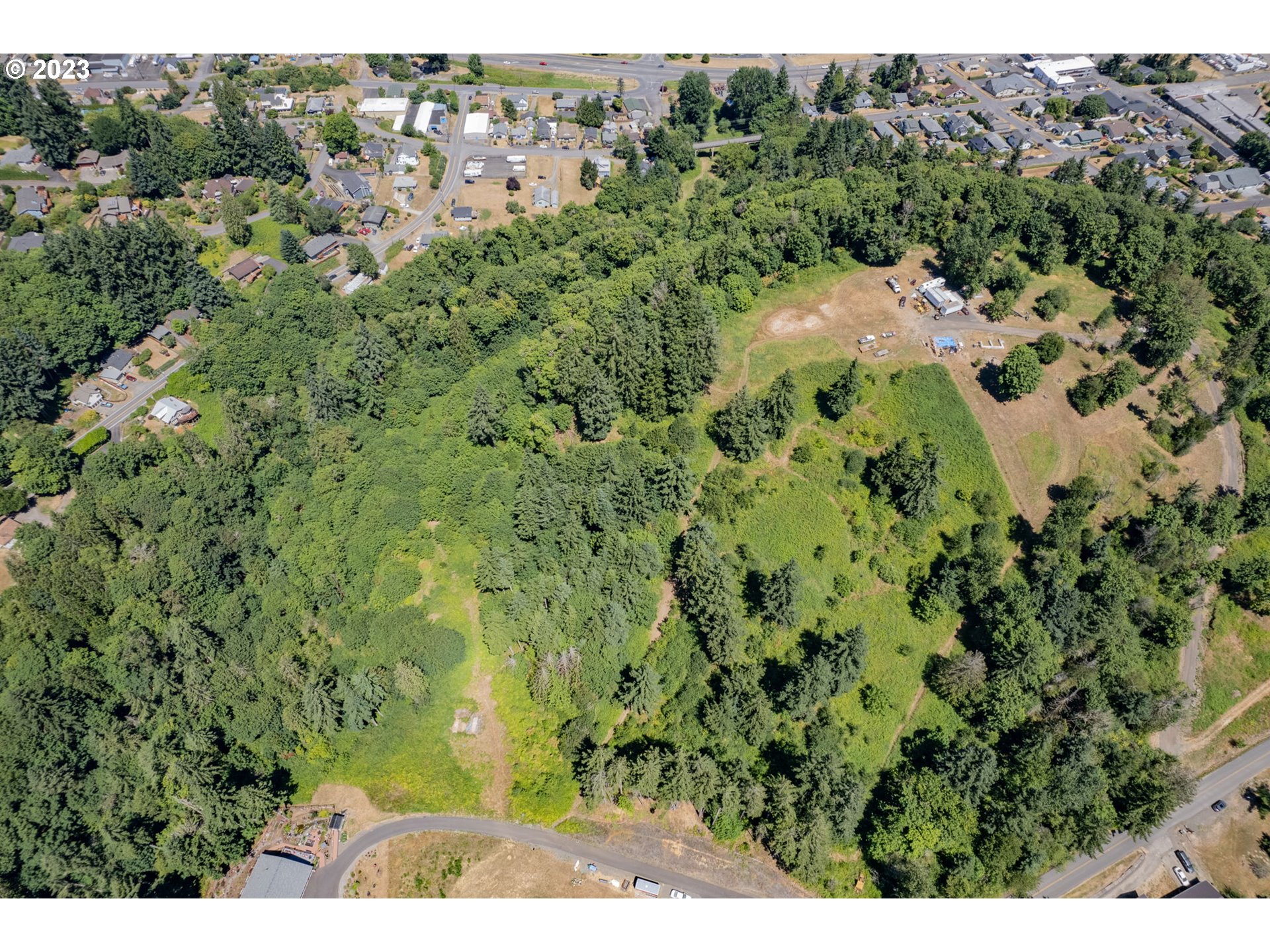 Debast Road Rainier, OR 97048 - Photo 11 of 16 a view of a lush green forest with trees in the background