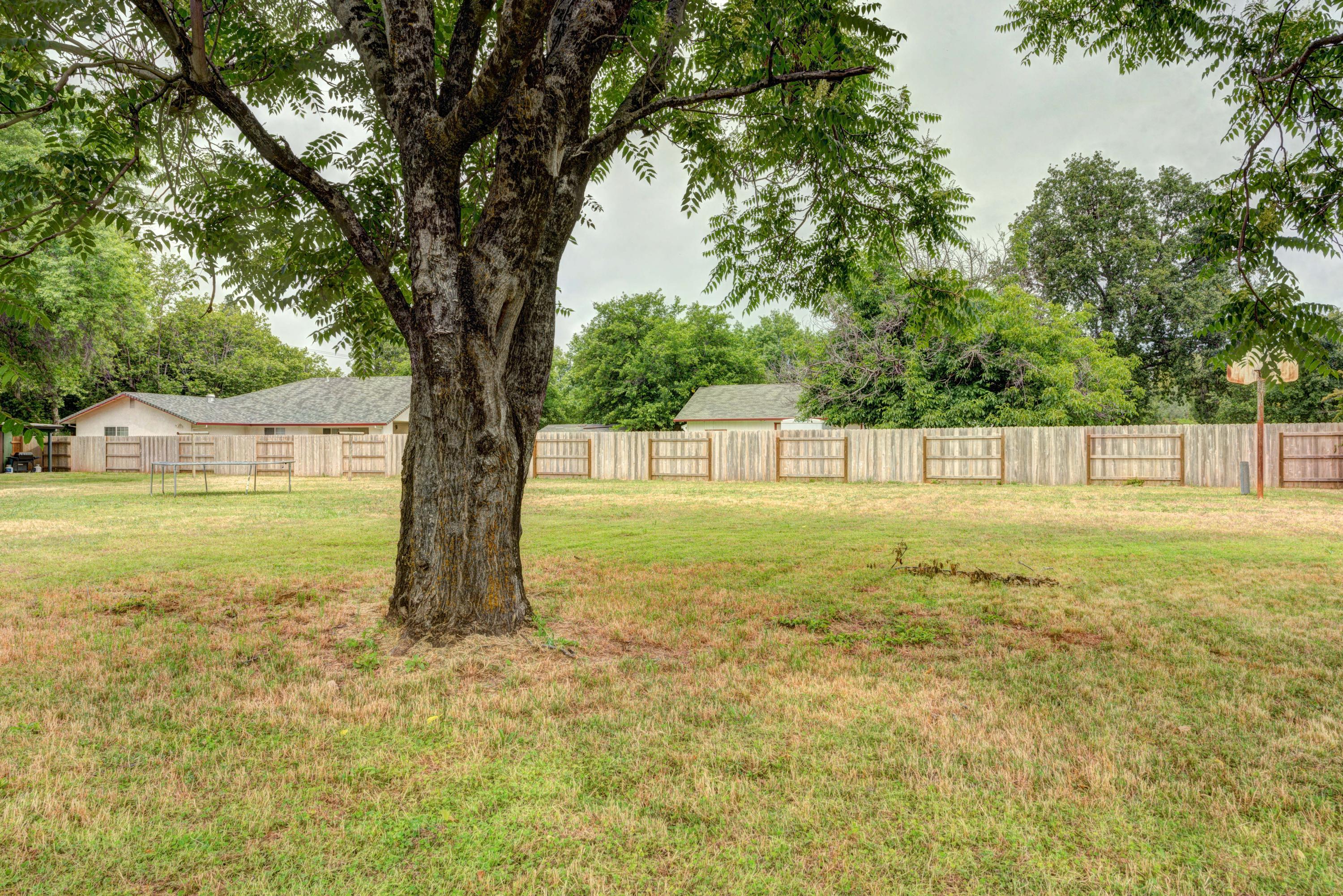 11367 Hawley Road Redding, CA 96003 - Photo 35 of 44 backyard 3
