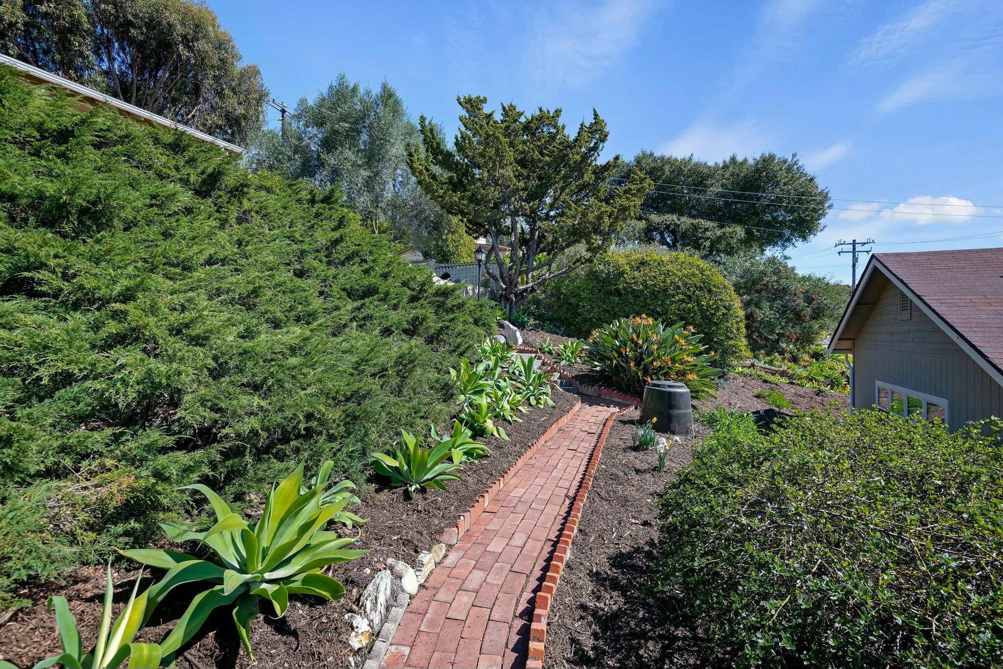 2986 Kenmore Place Santa Barbara, CA 93105 - Photo 35 of 49 a view of a garden with plants