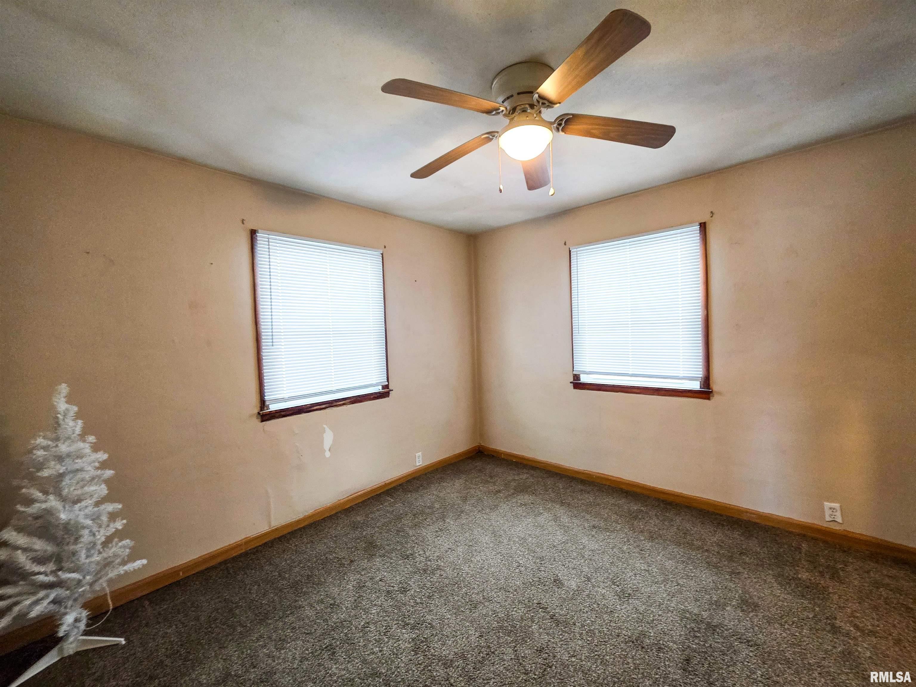 103 Watkins Street Cisne, IL 62823 - Photo 53 of 85