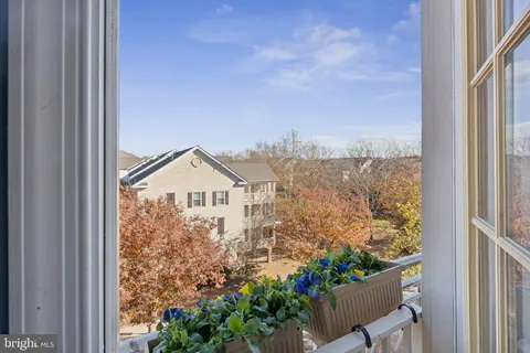 a view of a garden from a window