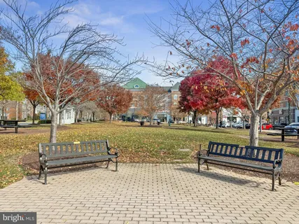 a view of bench with trees and a lake view