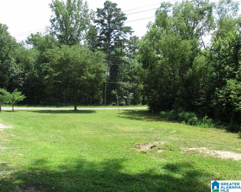 3315 Pine Mountain Road Remlap, AL 35133 - Photo 19 of 20