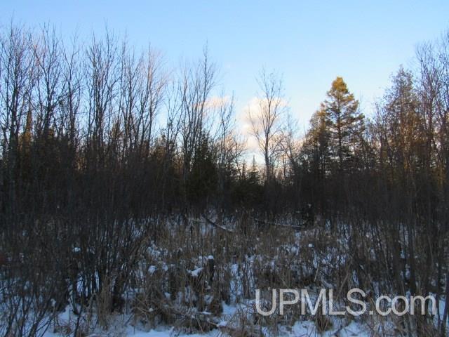M35 - Tower Road Perkins, MI 49872 - Photo 15 of 15