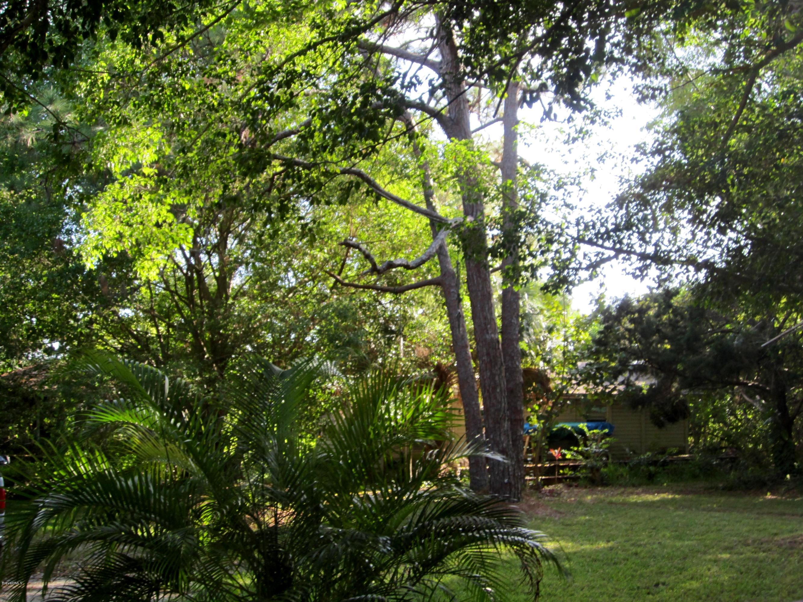 375 Pioneer Road Merritt Island, FL 32953 - Photo 22 of 22 IMG_0117