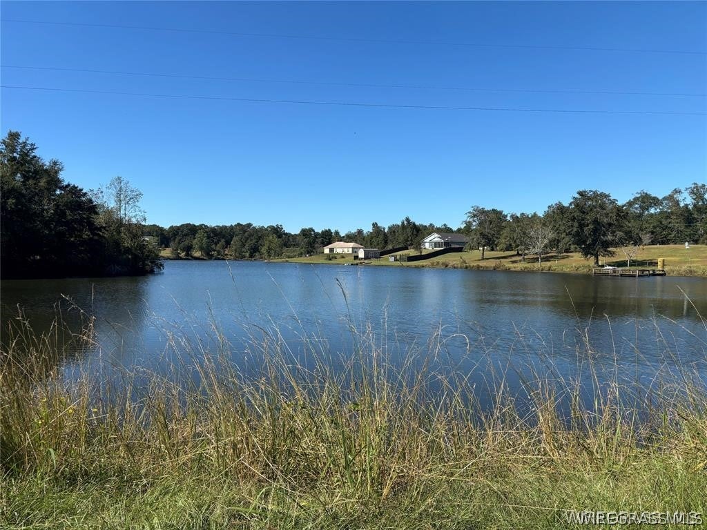 0 Culpepper Road Coffee Springs, AL 36318 - Photo 6 of 23 Gallery Image 6